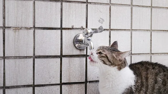 ドリンクのイメージ写真