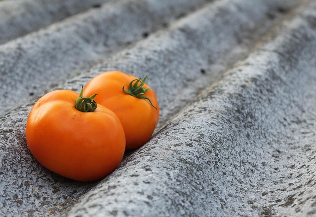 tomato