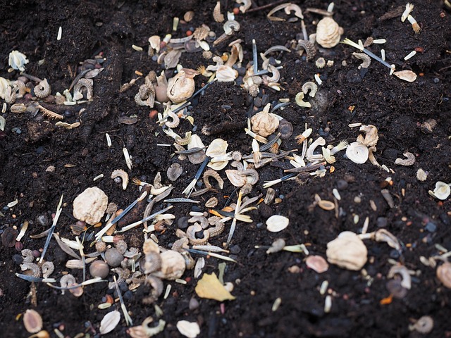 peat