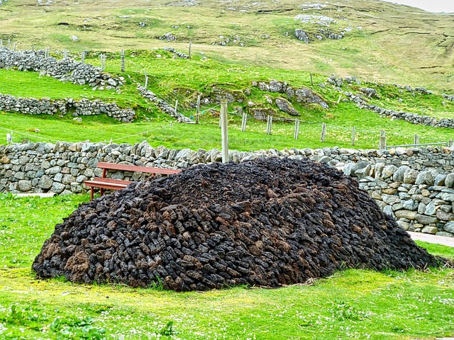 peat
